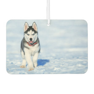 Siberian Husky Air Freshener Autolufterfrischer