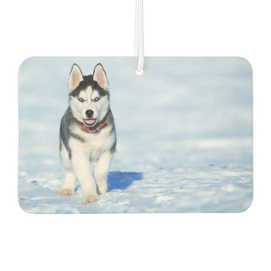 Siberian Husky Air Freshener Autolufterfrischer (Vorderseite)