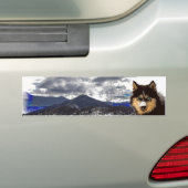 Siberian Husky Autoaufkleber (Auf Auto)