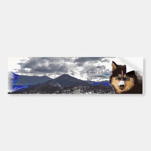 Siberian Husky Autoaufkleber (Vorne)
