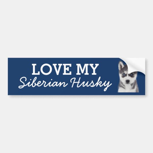 Siberian Husky Autoaufkleber (Vorne)