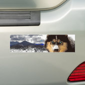 Siberian Husky Autoaufkleber (Auf Auto)