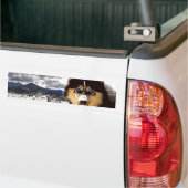 Siberian Husky Autoaufkleber (Auf Lkw)