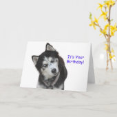 Siberian Husky Birthday Card Karte (Gelbe Blume)