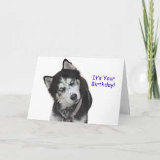 Siberian Husky Birthday Card Karte
