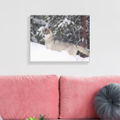 Siberian Husky Canvas Print Leinwanddruck (Insitu (Wohnzimmer))