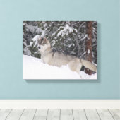 Siberian Husky Canvas Print Leinwanddruck (Insitu (Holzboden))