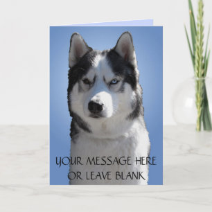Siberian Husky Card / Alaskan Malamute Card Leere Feiertagskarte