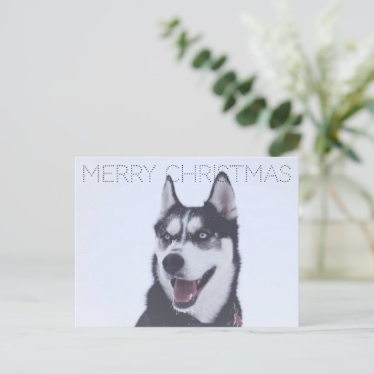 Siberian Husky-Christmas Feiertagspostkarte (Stehend Vorderseite)
