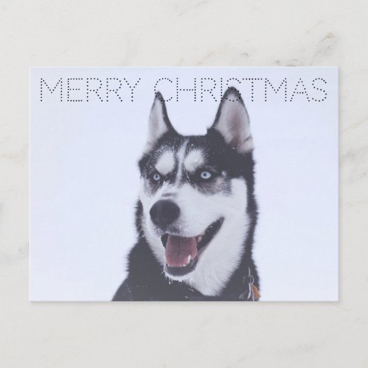 Siberian Husky-Christmas Feiertagspostkarte (Vorderseite)