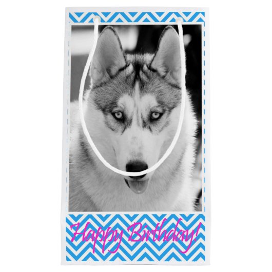 Siberian Husky Dog Blue Happy Birthday Kleine Geschenktüte (Vorderseite)
