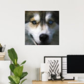 SIBERIAN HUSKY DOG "FAR EYES" POSTER (Heimbüro)