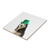 Siberian Husky Dog St. Patrick's Day Fliese (Seite)