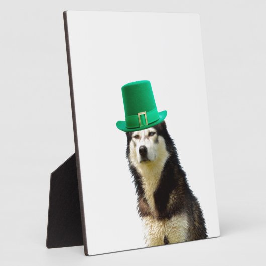 Siberian Husky Dog St. Patrick's Day Fotoplatte (Seite)