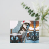 Siberian Husky dog wearing santa hat Postkarte (Stehend Vorderseite)