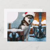Siberian Husky dog wearing santa hat Postkarte (Vorne/Hinten)