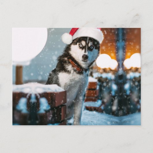 Siberian Husky dog wearing santa hat Postkarte (Vorderseite)