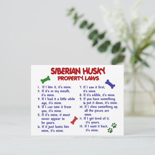 SIBERIAN HUSKY - Eigentumsrecht 2 Postkarte (Stehend Vorderseite)