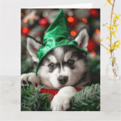 Siberian Husky Elf Welpe Weihnachtskarte Karte (Gelbe Blume)