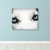 Siberian Husky Eyes Leinwanddruck (Insitu (Holzboden))