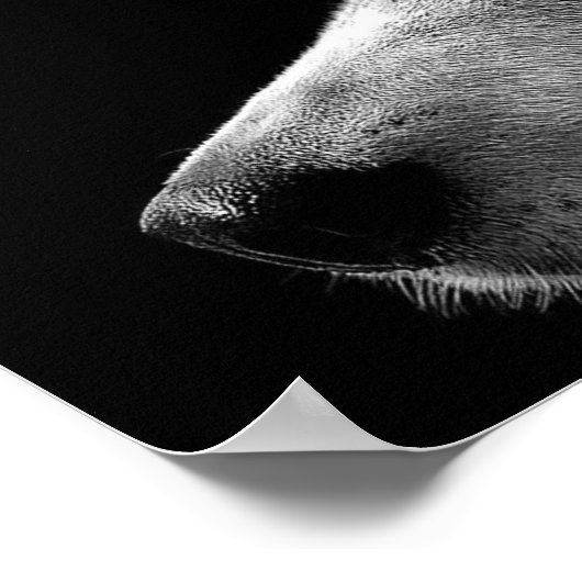 Siberian Husky Face Poster (Ecke)