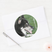 Siberian Husky Foto Runder Aufkleber (Umschlag)
