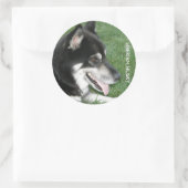 Siberian Husky Foto Runder Aufkleber (Tasche)