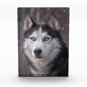 Siberian Husky Fotoblock