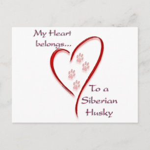 Siberian Husky Heart Belongs Postkarte