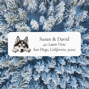 Siberian Husky Hund Rasse Haustier Liebhaber