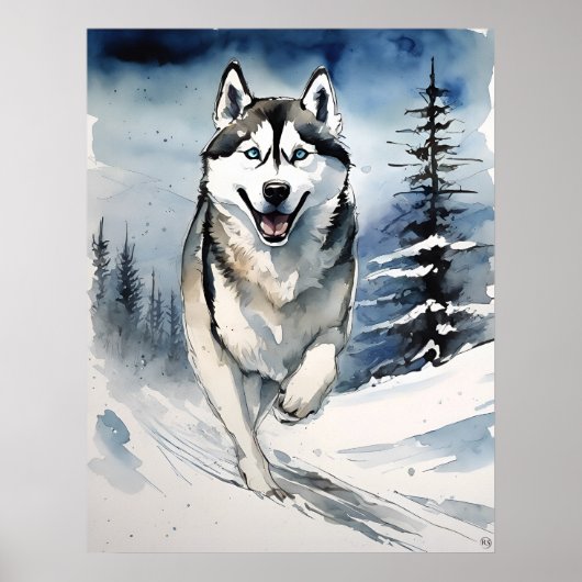 Siberian Husky - Hundekunst drucken Poster (Vorne)