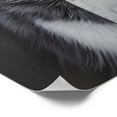 Siberian Husky In Chefs Hat Poster, Pet Poster (Ecke)