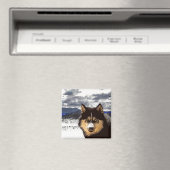 Siberian Husky Magnet (In Situ (Geschirrspüler))