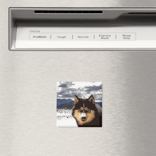 Siberian Husky Magnet (In Situ (Geschirrspüler))