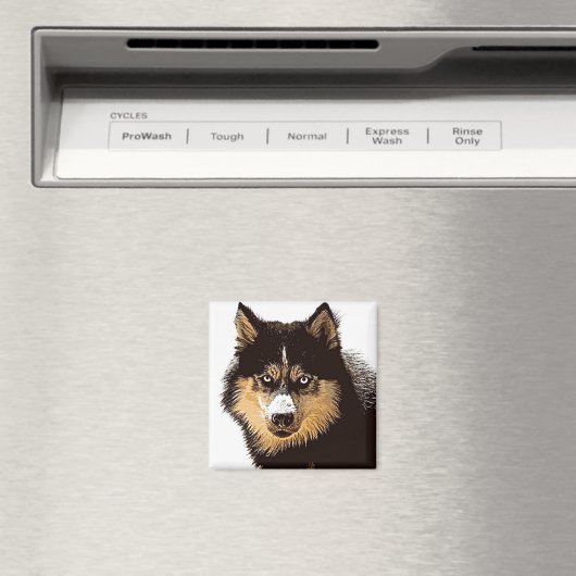 Siberian Husky Magnet (In Situ (Geschirrspüler))