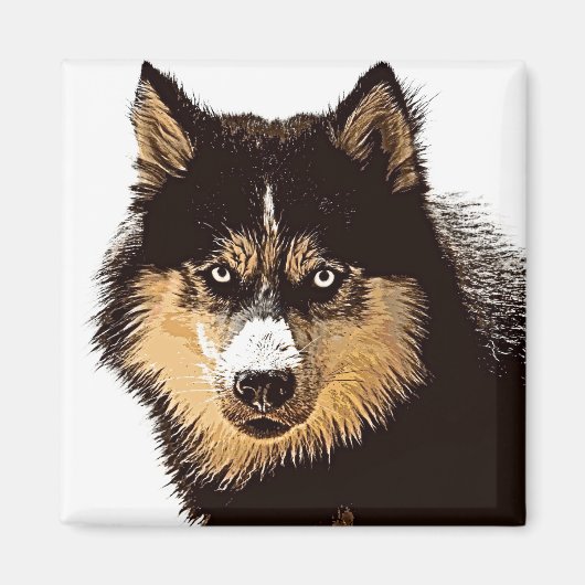 Siberian Husky Magnet (Vorne)