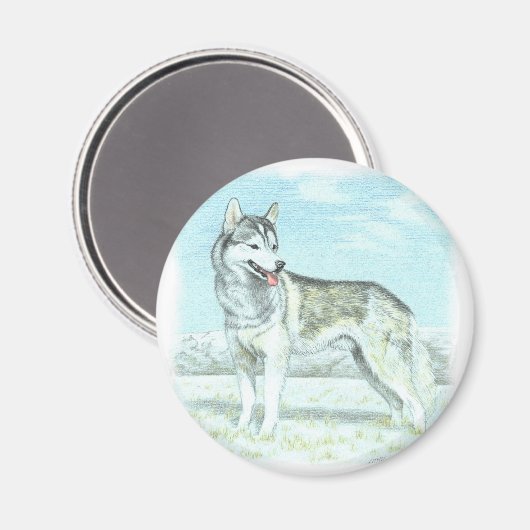 Siberian Husky Magnet (Vorderseite/Rückseite)