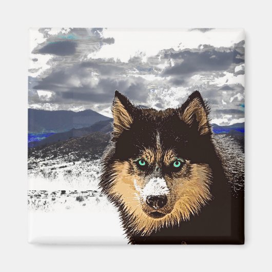 Siberian Husky Magnet (Vorne)