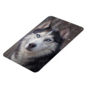 Siberian Husky Magnet (Linke Seite)
