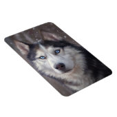 Siberian Husky Magnet (Rechte Seite)