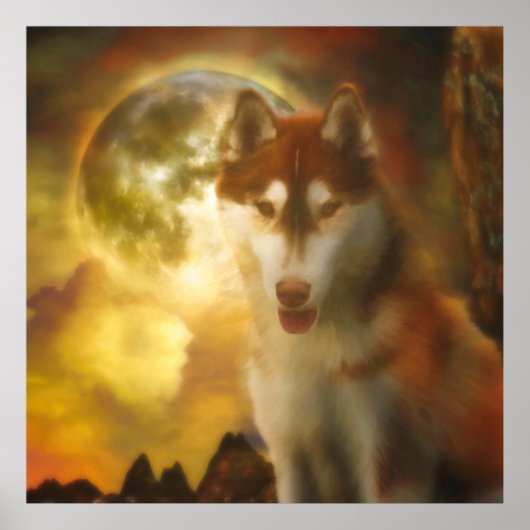 SIBERIAN HUSKY MOON KINGDOM POSTER (Vorne)