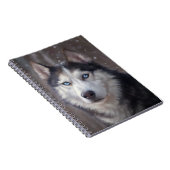 Siberian Husky Notizblock (Rechte Seite)