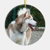 Siberian Husky Ornament (Vorne)