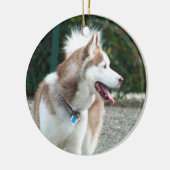 Siberian Husky Ornament (Links)