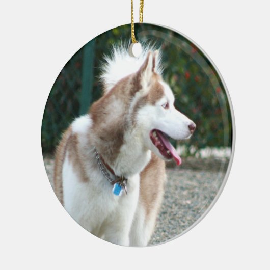 Siberian Husky Ornament (Links)