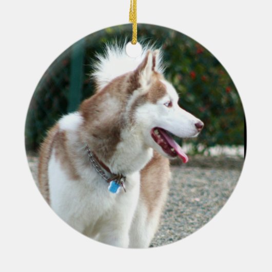 Siberian Husky Ornament (Hinten)