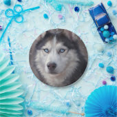 Siberian Husky Pappteller (Party)