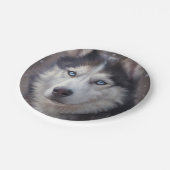 Siberian Husky Pappteller (Schrägansicht)