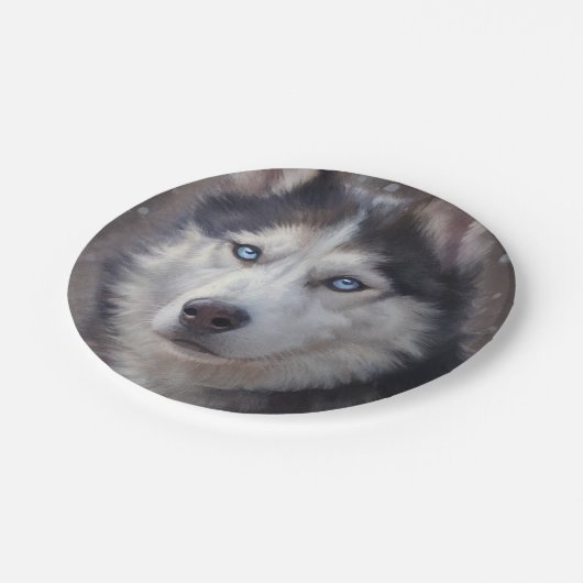 Siberian Husky Pappteller (Schrägansicht)