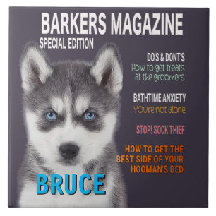 Siberian Husky Parody Magazine Cover Foto Print Fliese